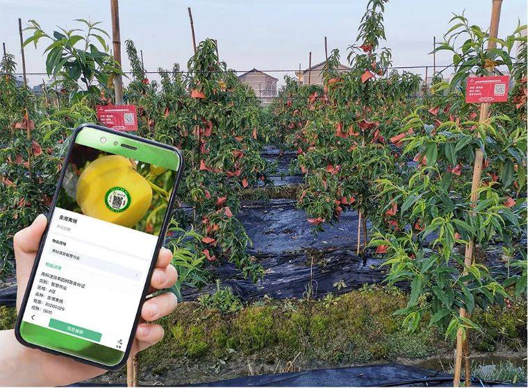 果園物聯(lián)網
