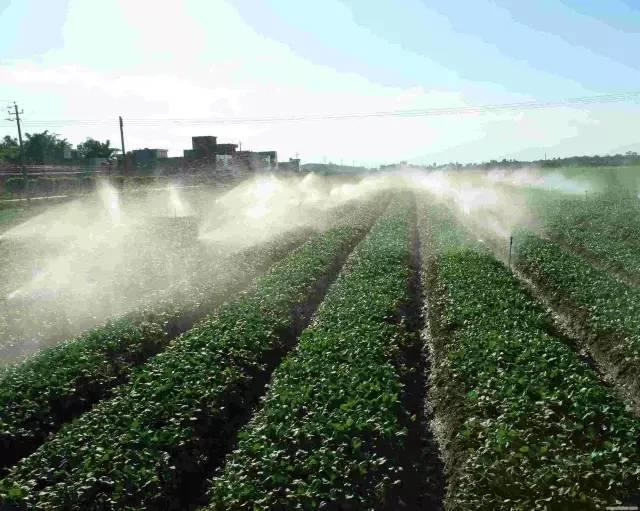 浙江自動(dòng)灌溉