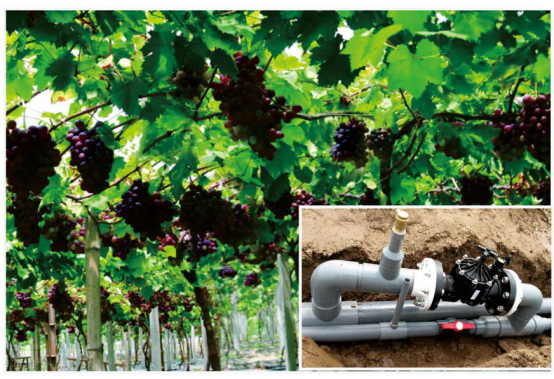 果園水肥一體化滴管設(shè)備