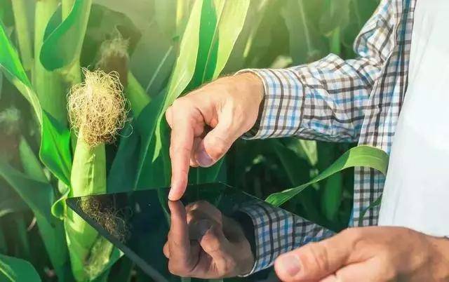 智慧農業系統公司