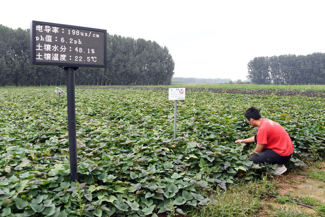智慧生態(tài)農(nóng)場