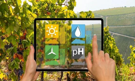 數(shù)字農(nóng)場