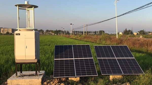 煙草蟲情監測系統