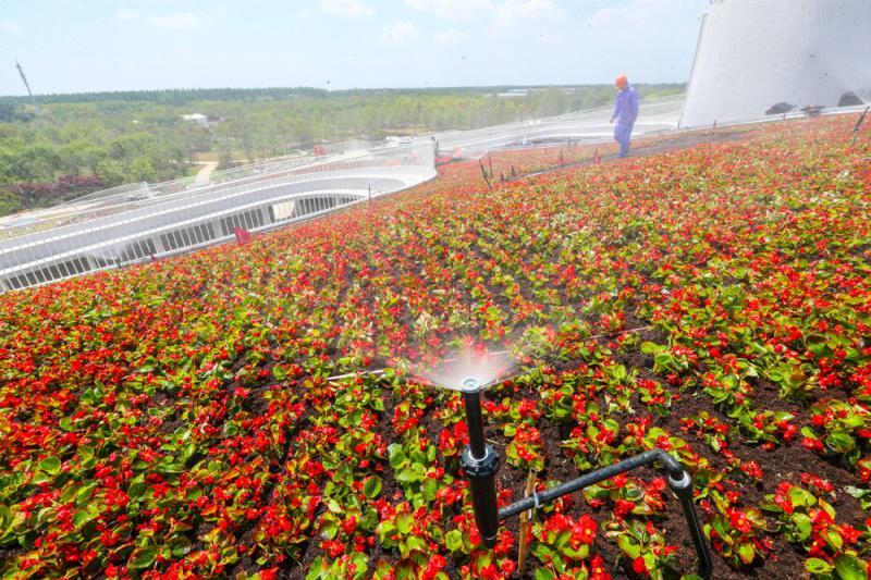 農場自動淋花系統