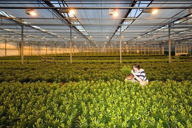 大棚遠程控制系統(tǒng)