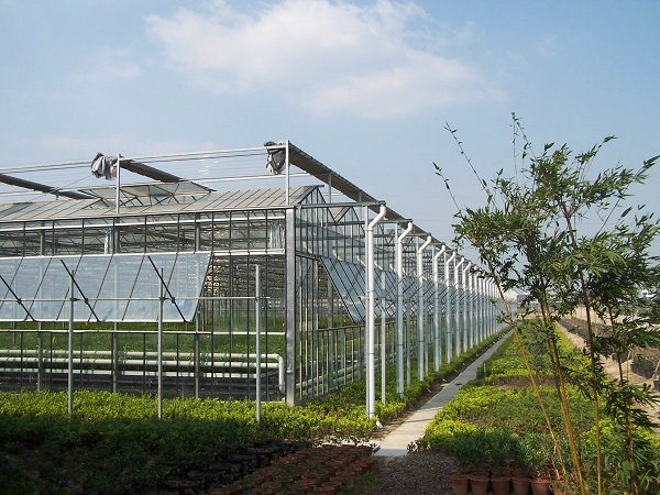 農(nóng)業(yè)溫室大棚