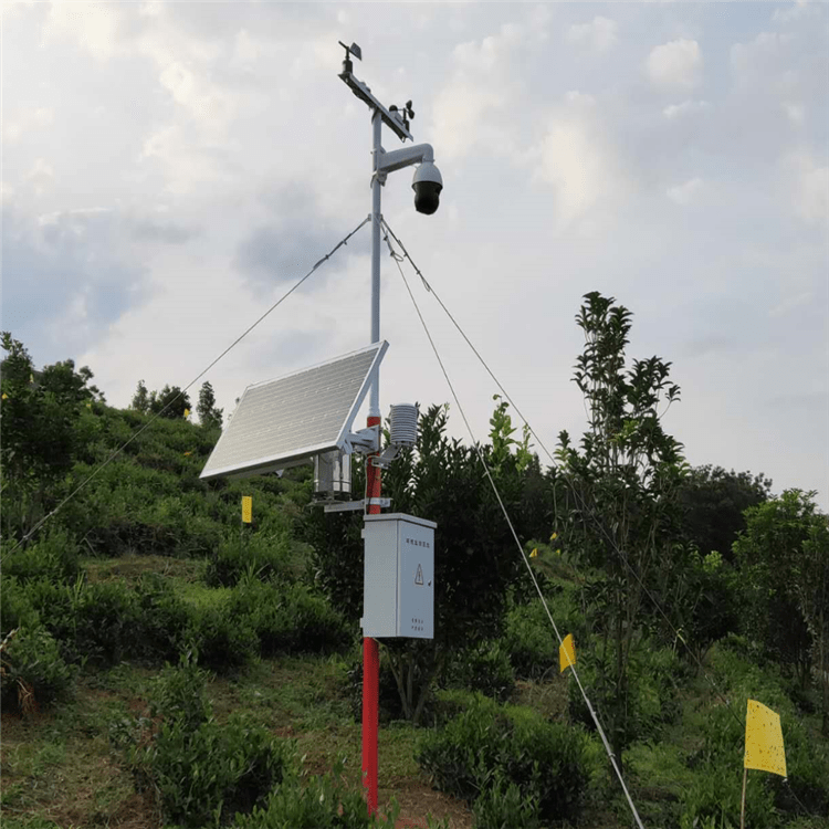 智慧果園 數字農業