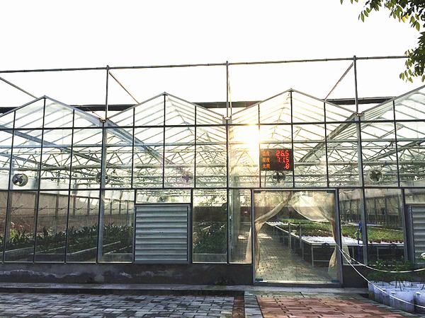 智能溫室