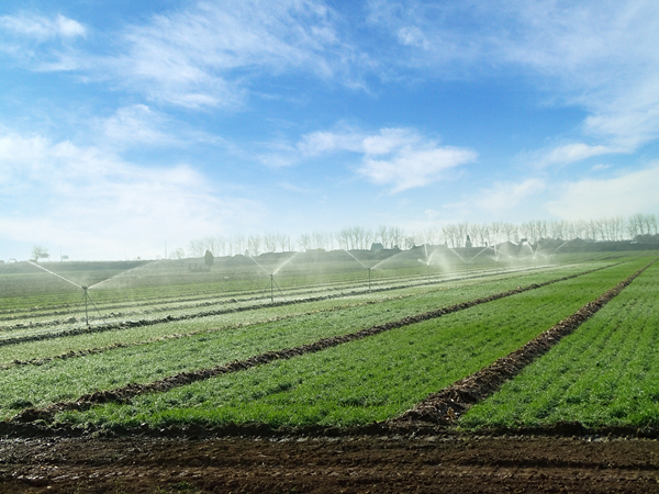 智慧農業(yè)智能灌溉系統(tǒng)