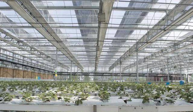 玻璃溫室棚控制系統