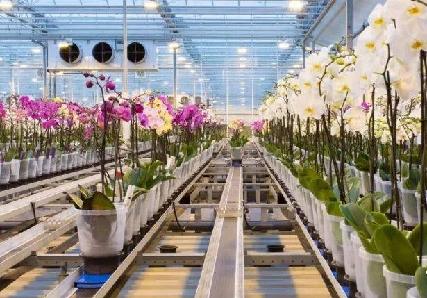 溫室大棚物聯網設備 溫室大棚物聯網設備