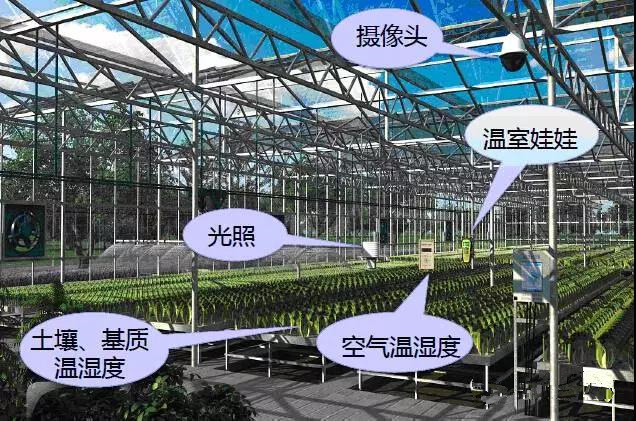 山西智慧農(nóng)業(yè)大棚