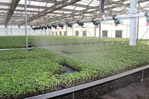 蔬菜大棚自動化設備