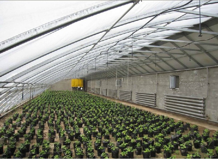 全自動農(nóng)業(yè)大棚