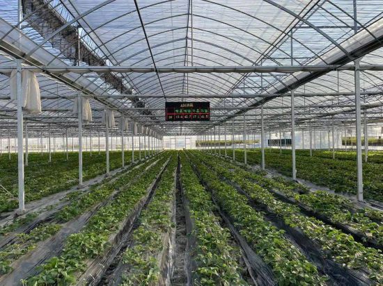 農業智能大棚系統