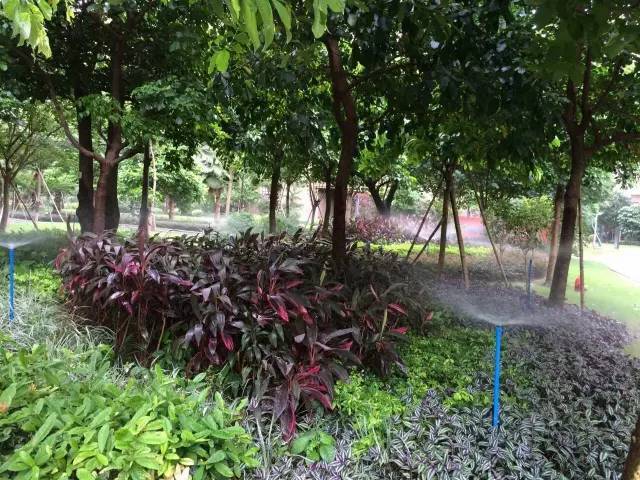 智能自動(dòng)化噴灌系統(tǒng)