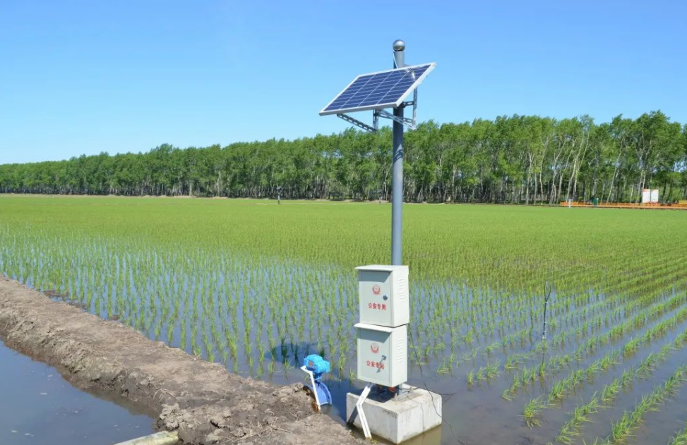 稻田智能灌溉系統