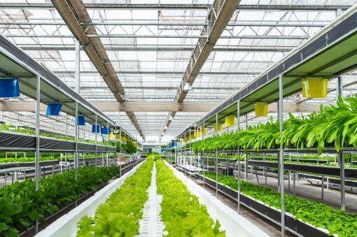 農(nóng)業(yè)大棚系統(tǒng)