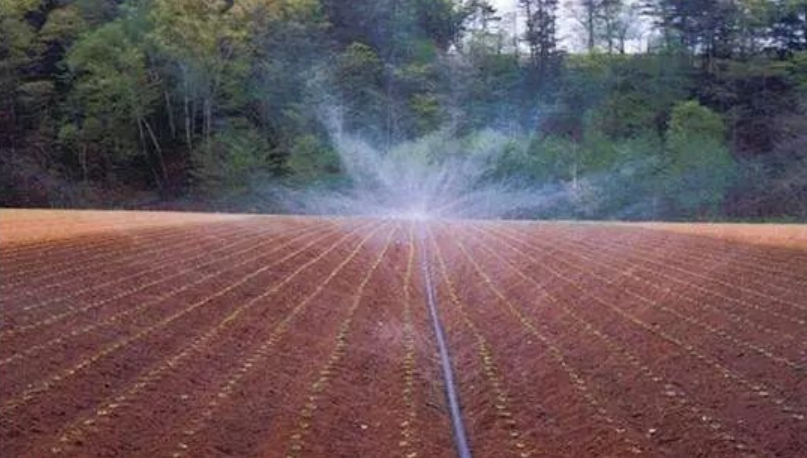 微噴灌系統(tǒng)每畝地造價