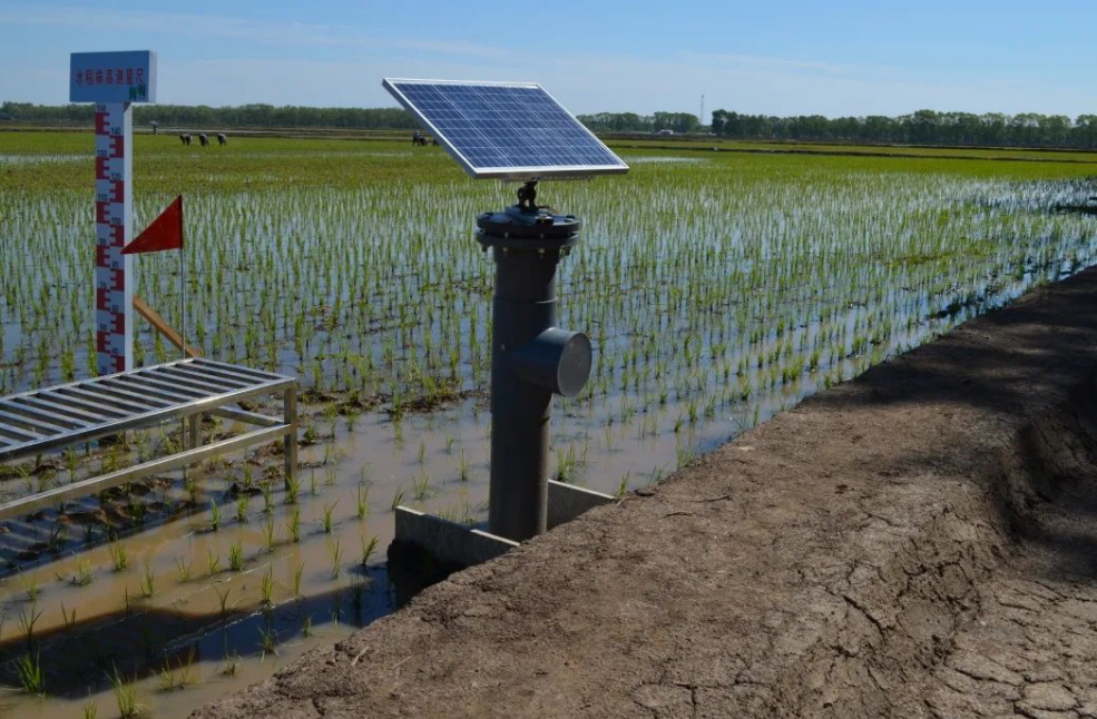 水稻灌溉管道自動控制系統