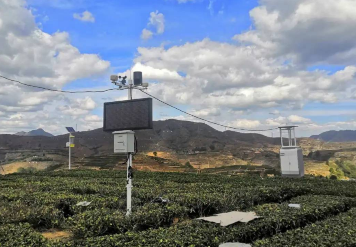 智慧茶場(chǎng)