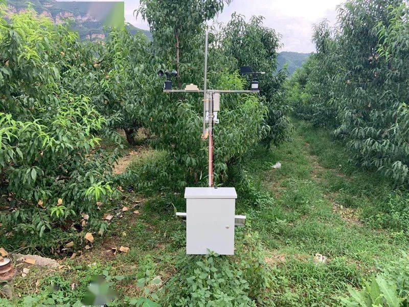 數(shù)字果園信息化系統(tǒng)