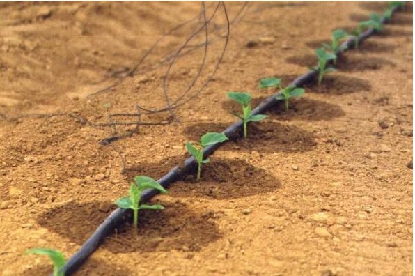 廣東省微灌控制