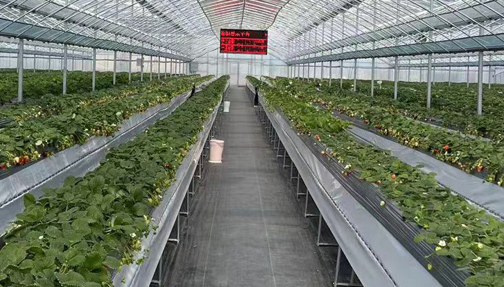 農業智慧管理平臺 農業智慧管理平臺