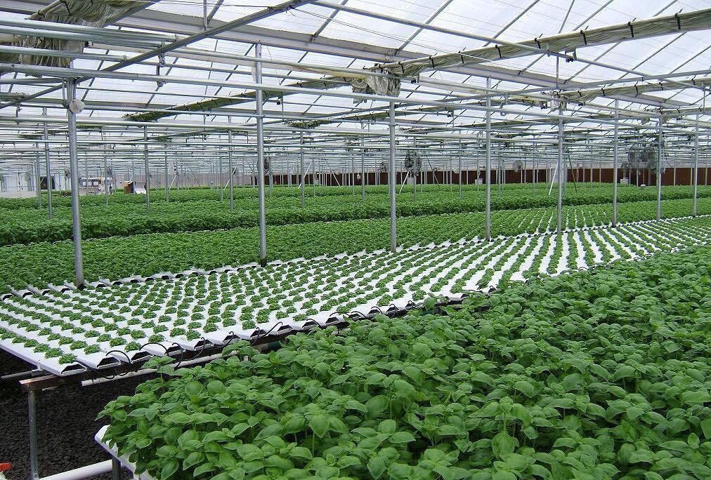 蔬菜大棚設備