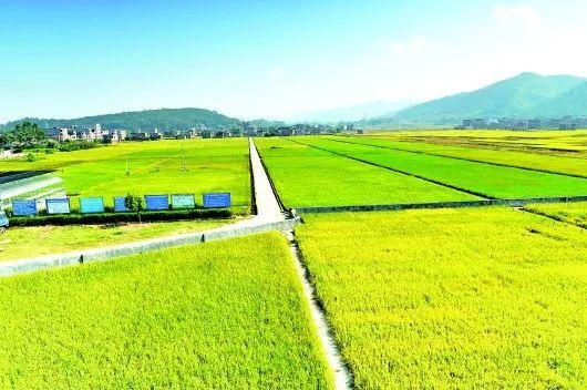 高標(biāo)準(zhǔn)農(nóng)田方案廠商