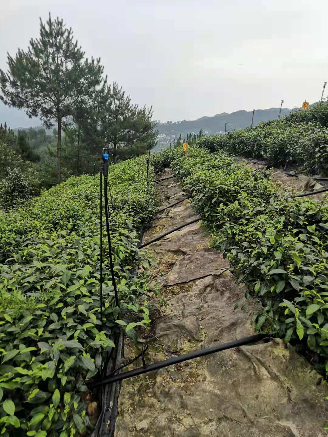 農(nóng)業(yè)自動化灌溉系統(tǒng)