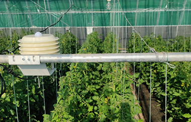 智慧農業大棚環境監測系統 智慧農業大棚環境監測系統