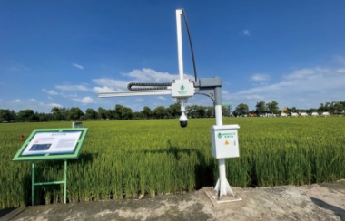 葉齡診斷機(jī)械臂 葉齡診斷機(jī)械臂