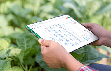 農(nóng)業(yè)四情測(cè)報(bào)平臺(tái) 農(nóng)業(yè)四情測(cè)報(bào)平臺(tái)