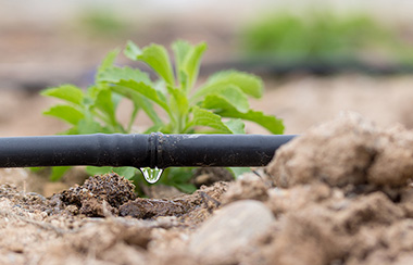 農(nóng)業(yè)水肥一體化灌溉系統(tǒng)