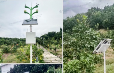 賽通科技如何用數字科技賦能西部農業(yè) 賽通科技如何用數字科技賦能西部農業(yè)